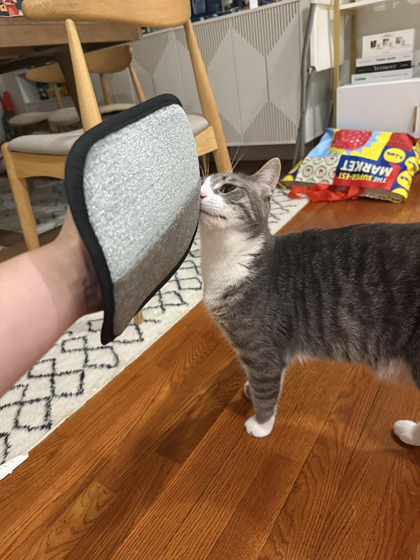 Customer product image for Besser als Einweg-Roller